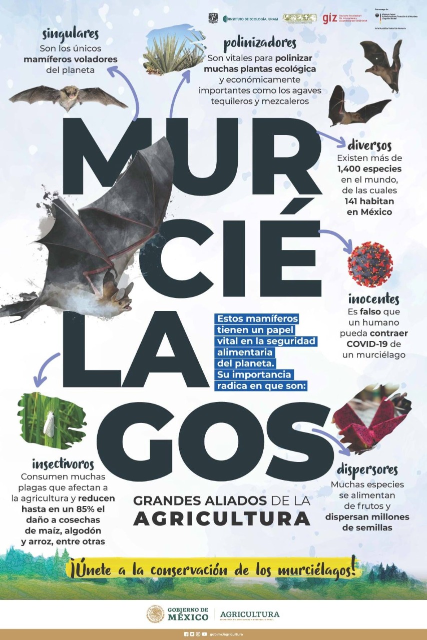 Infografía 